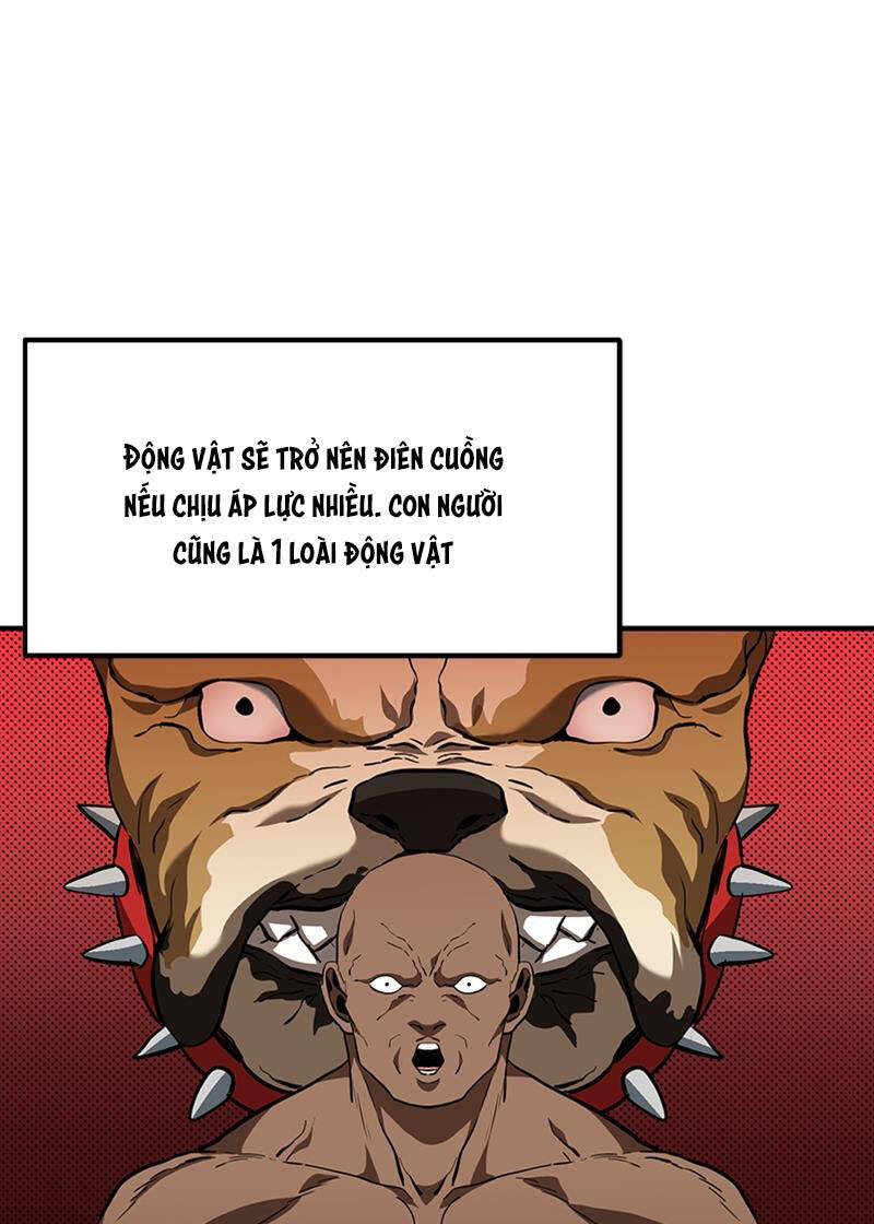 Vua Võ Đài Chapter 41 - Trang 2