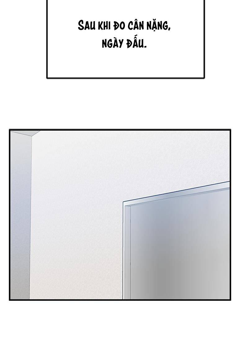 Vua Võ Đài Chapter 43 - Trang 2