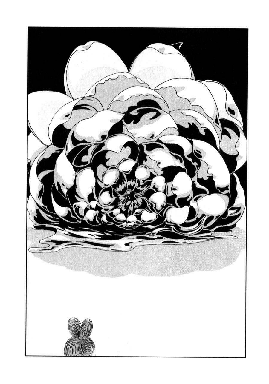 Vùng Đất Của Chiến Binh Bảo Ngọc Chapter 19 - Trang 2