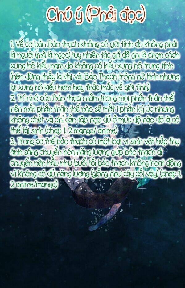 Vùng Đất Của Chiến Binh Bảo Ngọc Chapter 5 - Trang 2