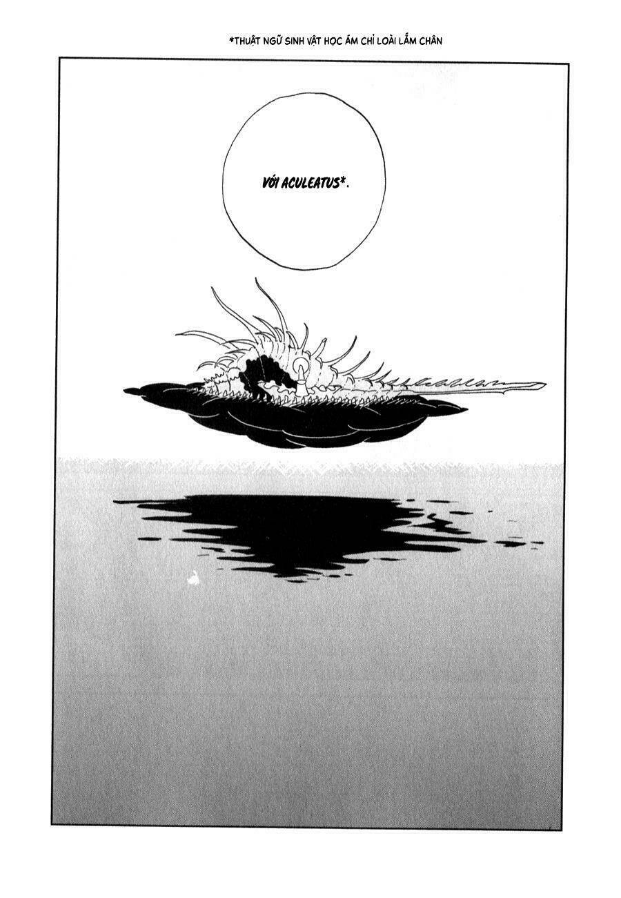 Vùng Đất Của Chiến Binh Bảo Ngọc Chapter 9 - Trang 2