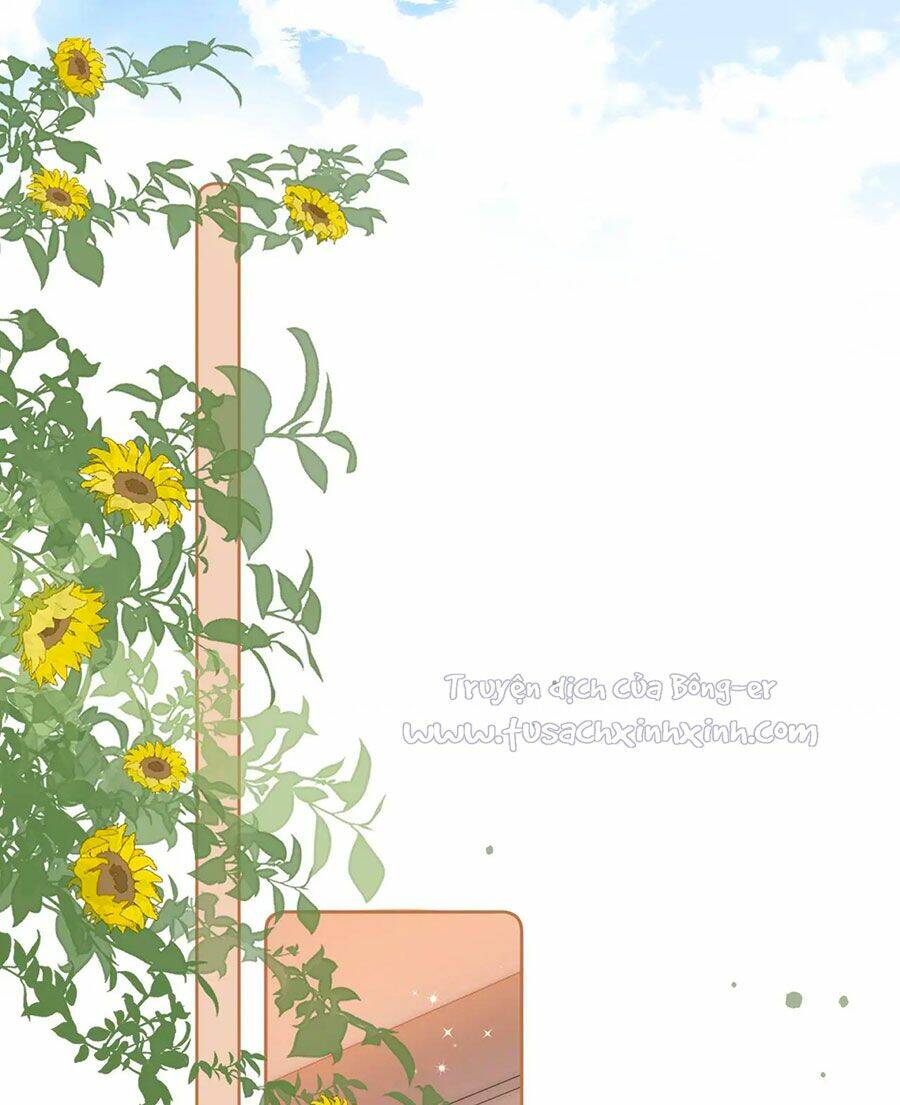 Vụng Trộm Giấu Không Được Chapter 12 - Trang 2