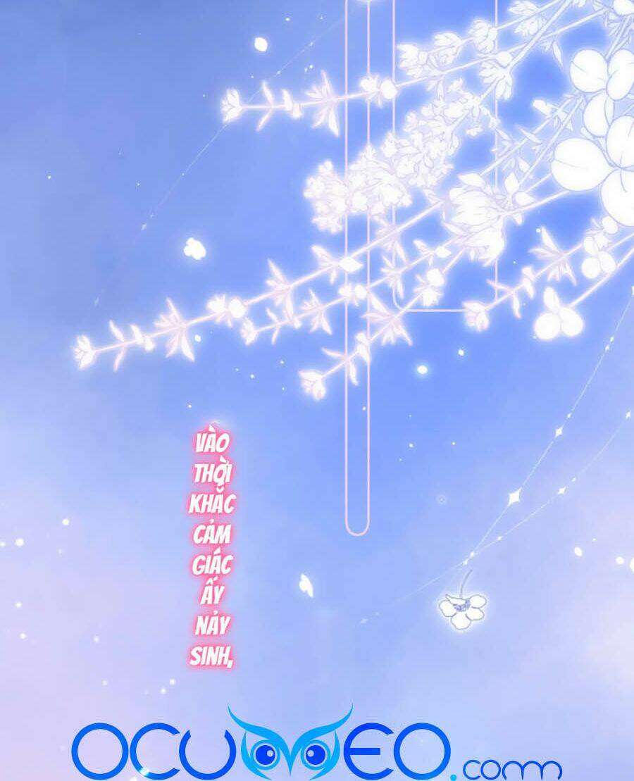 Vụng Trộm Giấu Không Được Chapter 7 - Trang 2