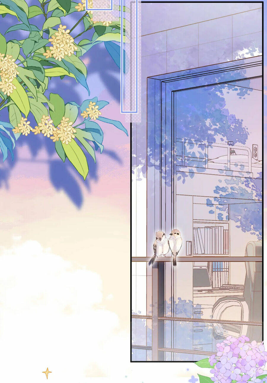 Vụng Trộm Giấu Không Được Chapter 74.1 - Trang 2