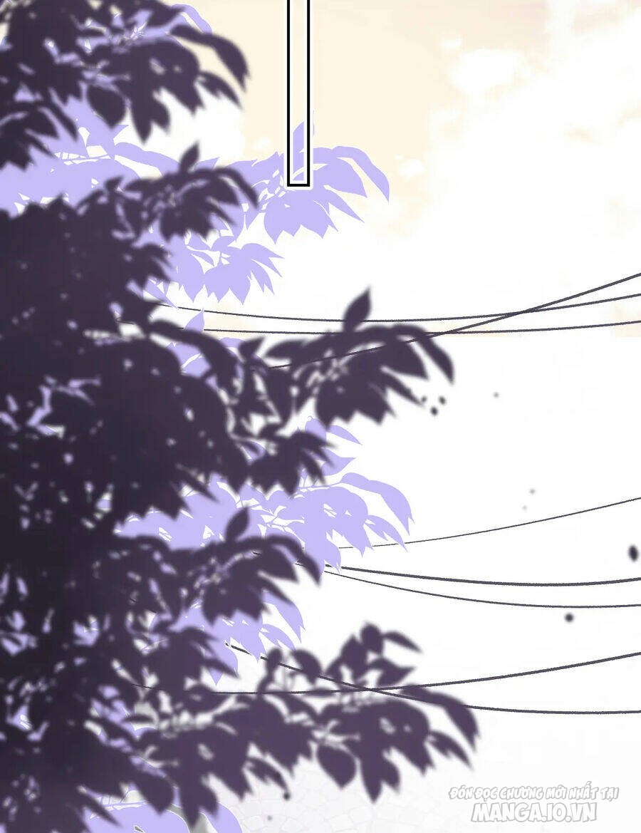 Vụng Trộm Giấu Không Được Chapter 77 - Trang 2