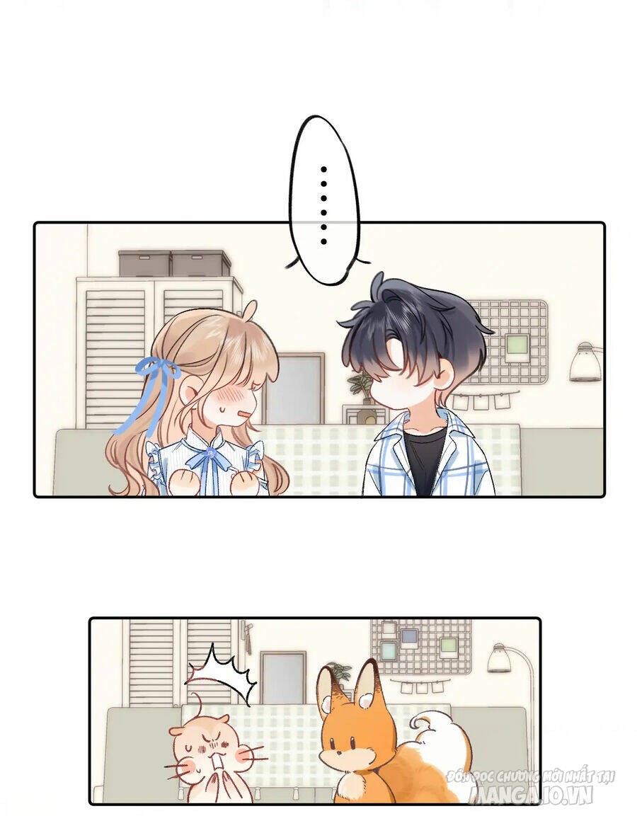Vụng Trộm Giấu Không Được Chapter 80 - Trang 2