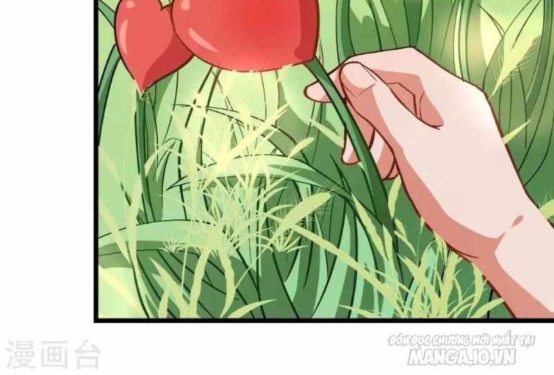 Vườn Trường Cuồng Sư Hệ Thống Chapter 84 - Trang 2