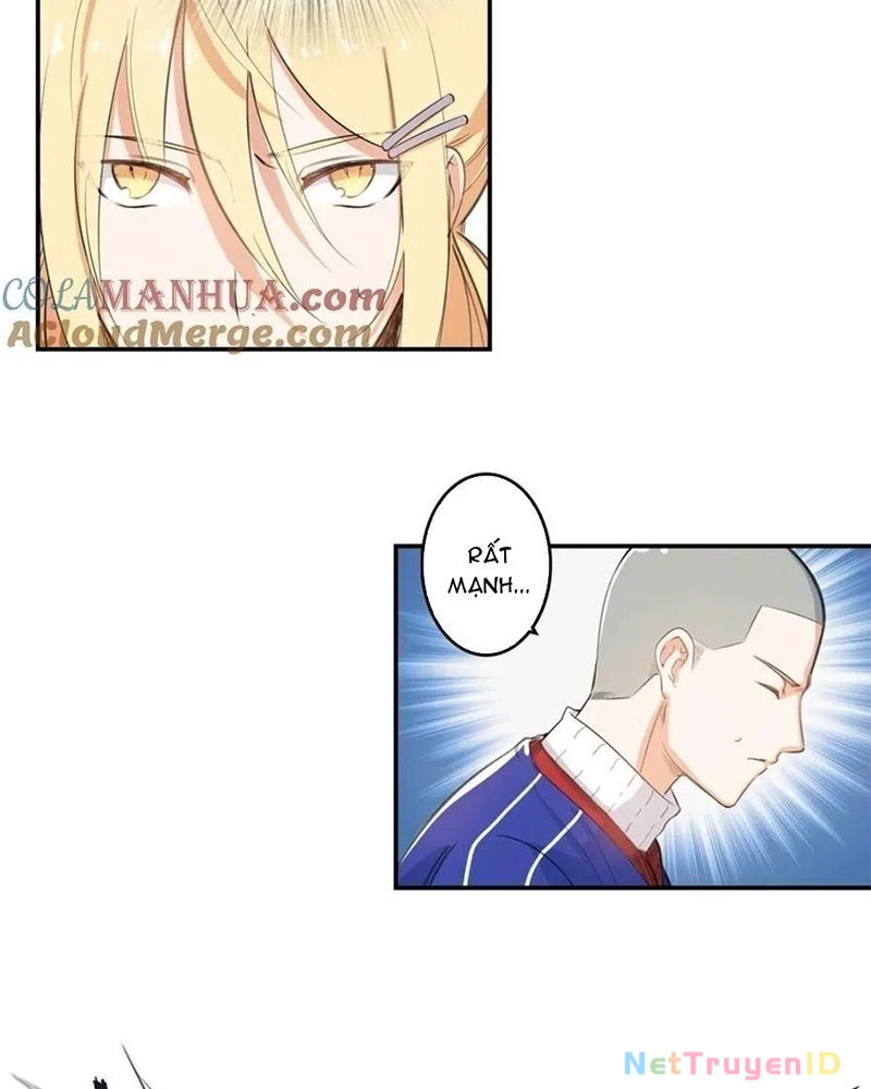 Vương Bài Trên Băng Chapter 5 - Trang 2