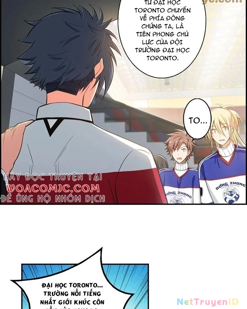 Vương Bài Trên Băng Chapter 7 - Trang 2