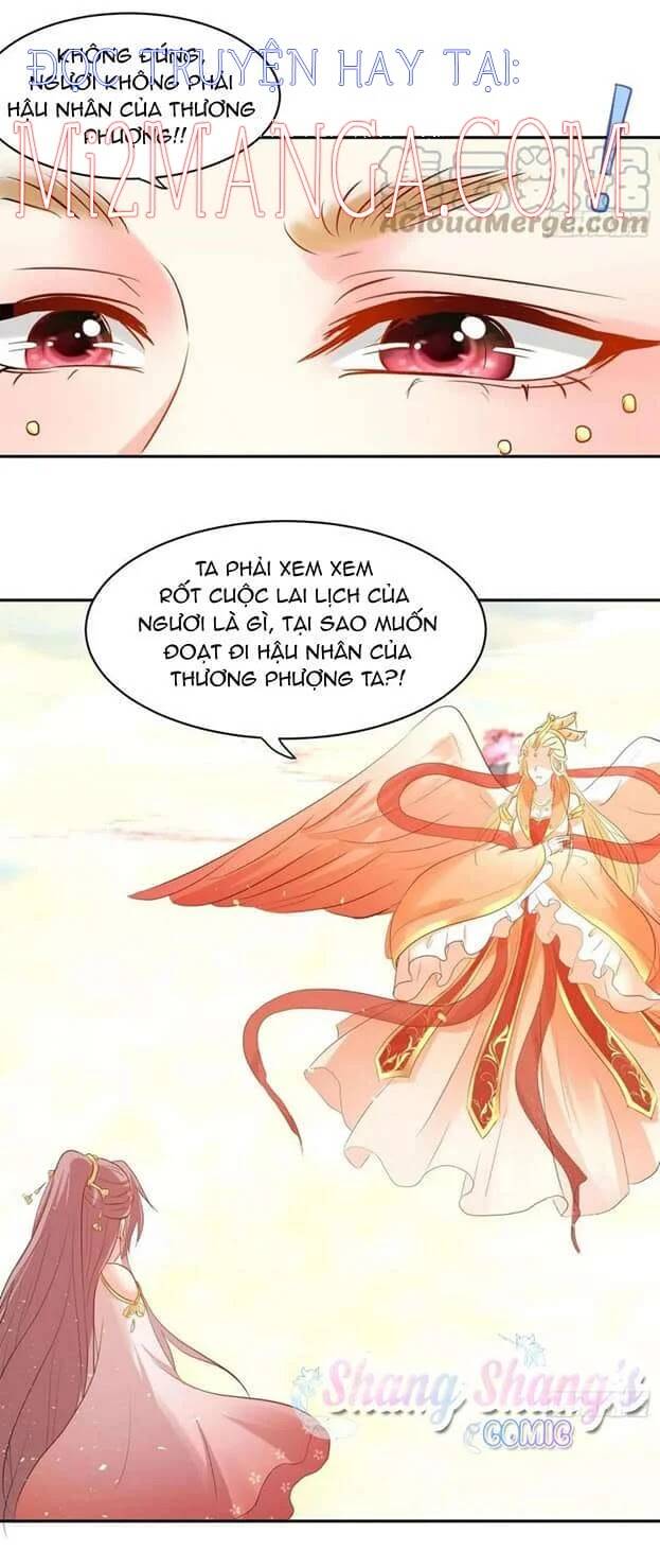 Vương Gia Khắc Thê Chapter 113 - Trang 2