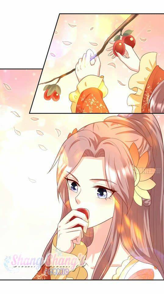 Vương Gia Khắc Thê Chapter 135 - Trang 2