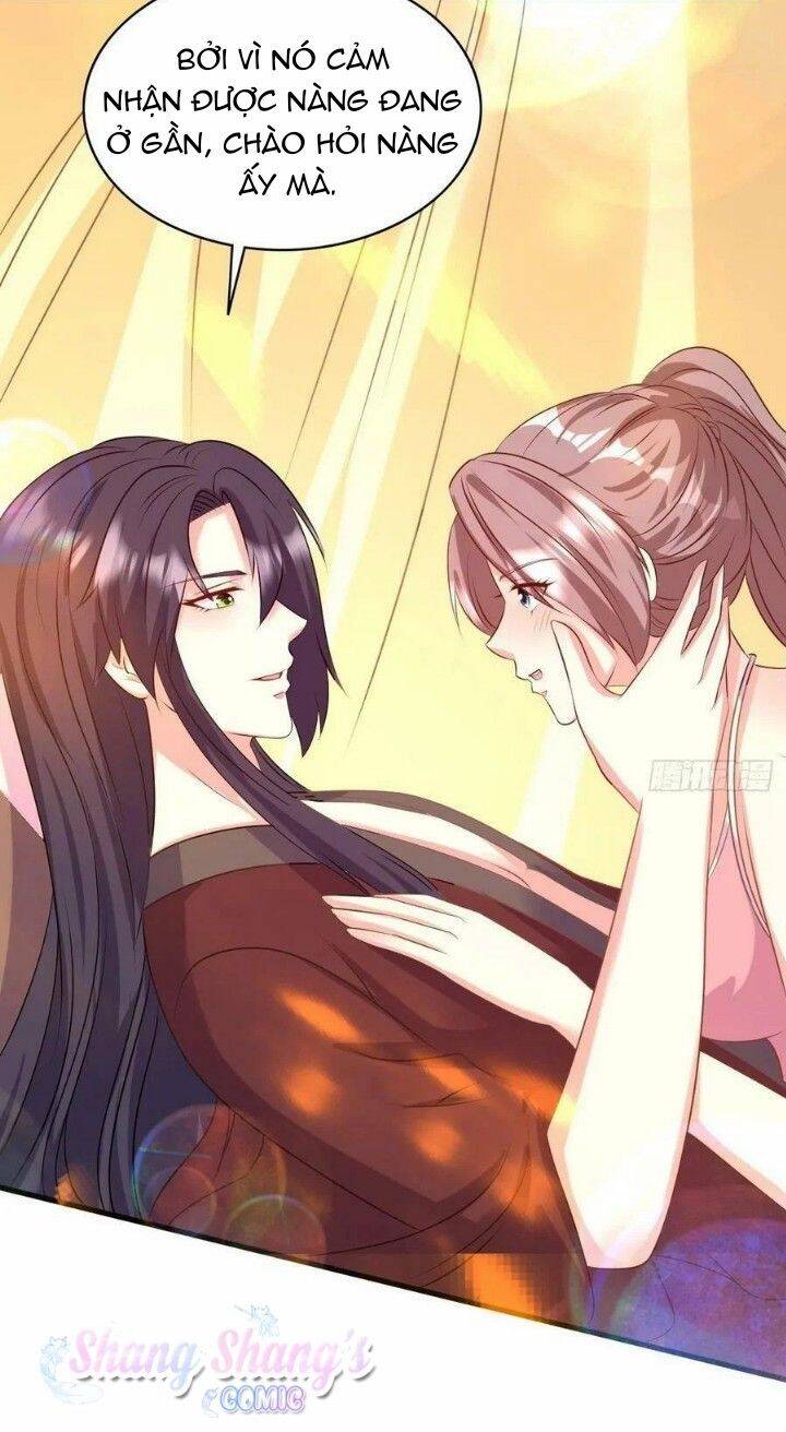 Vương Gia Khắc Thê Chapter 147 - Trang 2