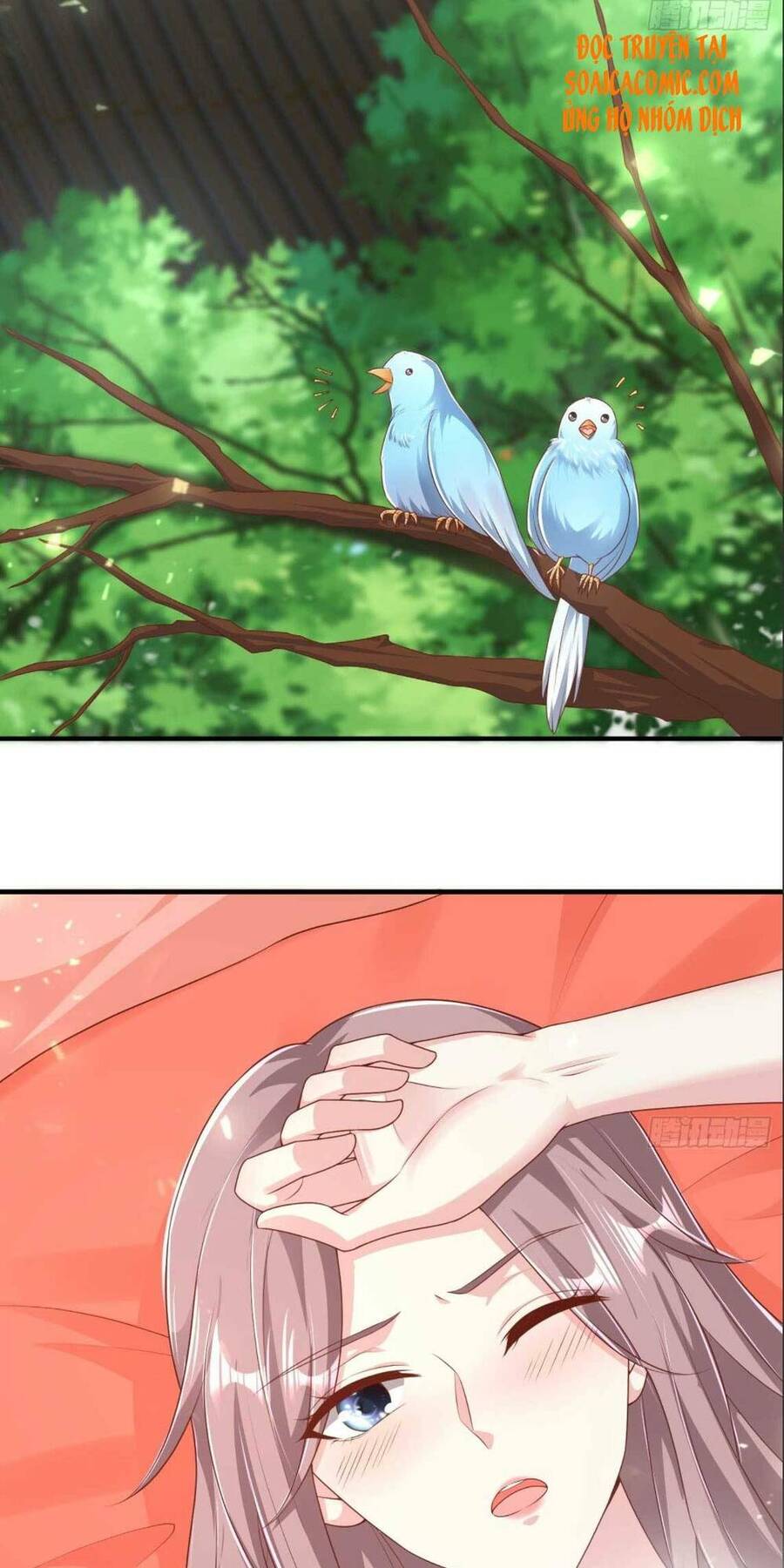 Vương Gia Khắc Thê Chapter 73 - Trang 2