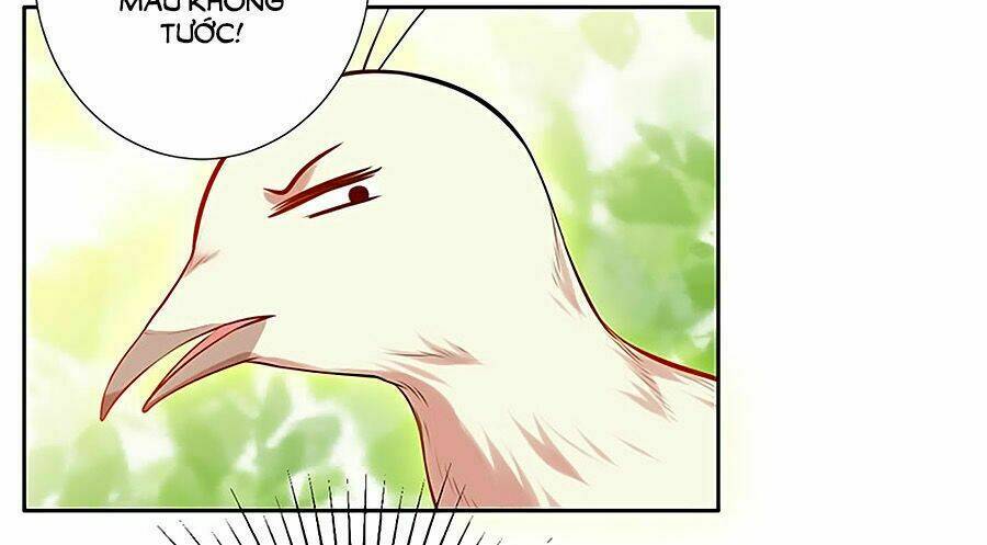 Vương Gia Là Đầu Đại Lão Hổ Chapter 16 - Trang 2