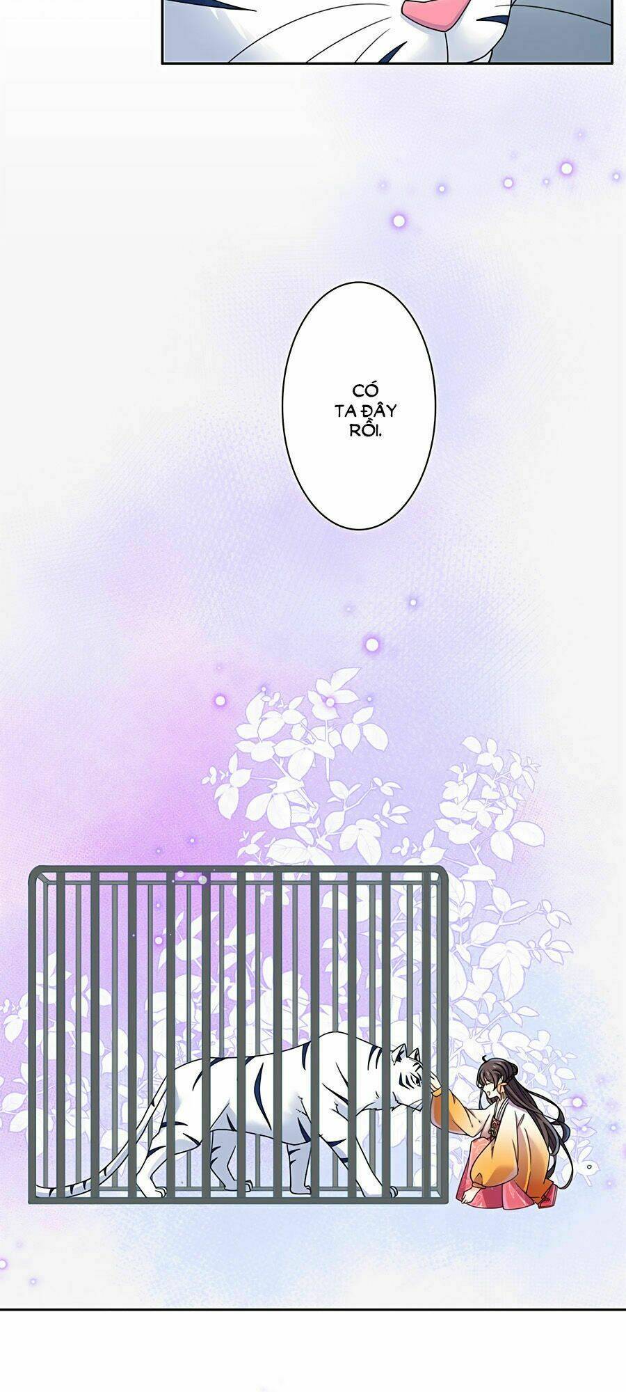 Vương Gia Là Đầu Đại Lão Hổ Chapter 29 - Trang 2