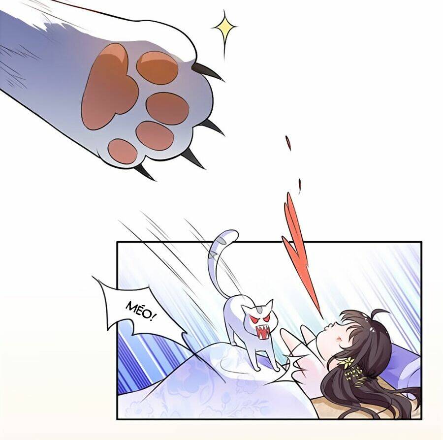 Vương Gia Là Đầu Đại Lão Hổ Chapter 3 - Trang 2