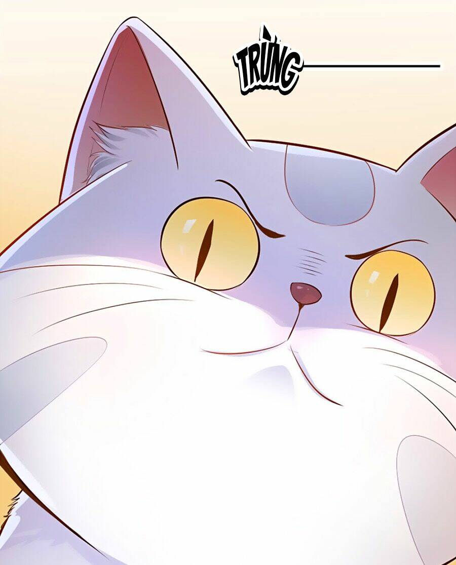 Vương Gia Là Đầu Đại Lão Hổ Chapter 3 - Trang 2