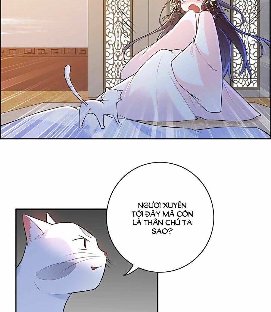 Vương Gia Là Đầu Đại Lão Hổ Chapter 3 - Trang 2