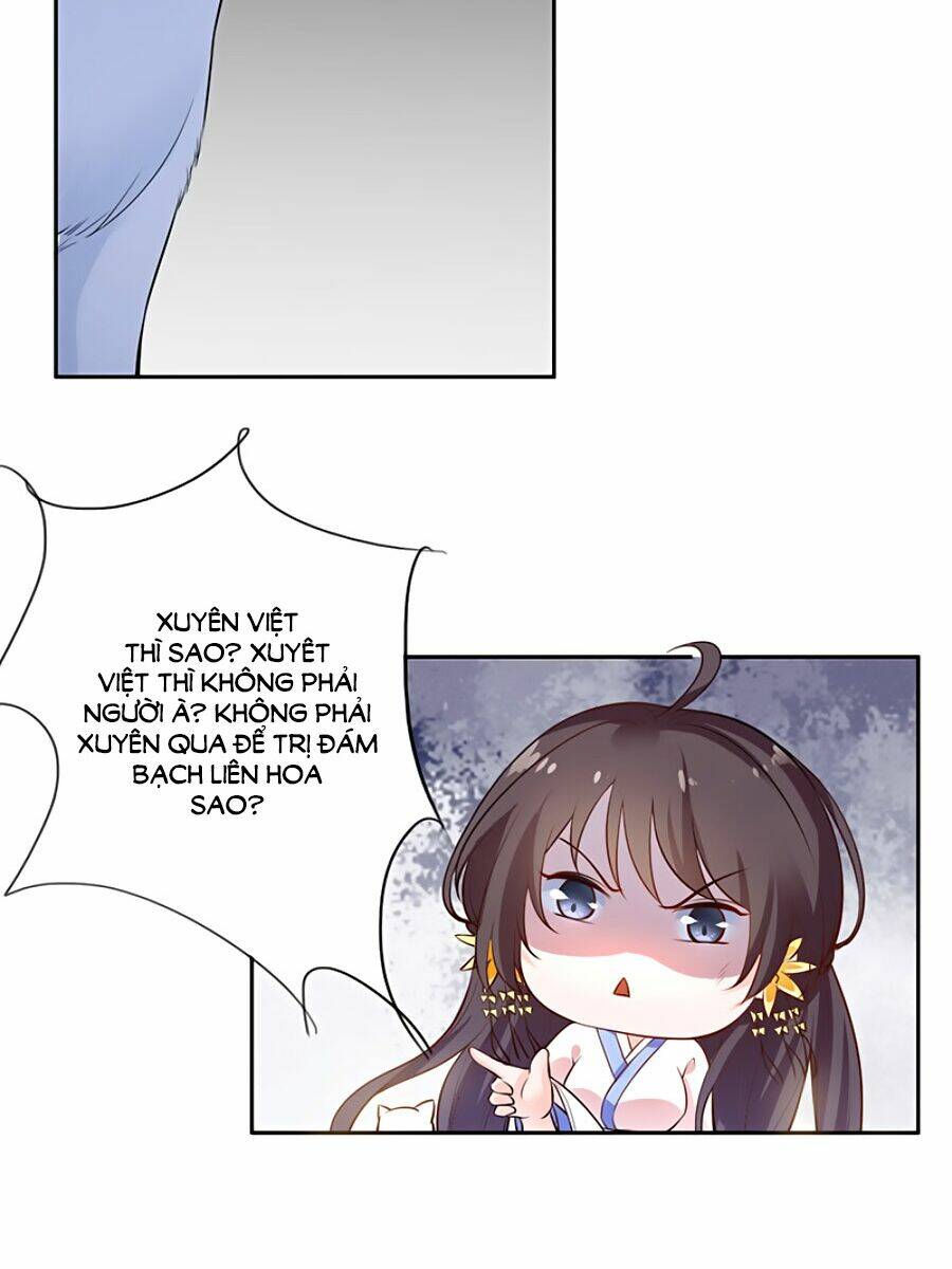 Vương Gia Là Đầu Đại Lão Hổ Chapter 3 - Trang 2