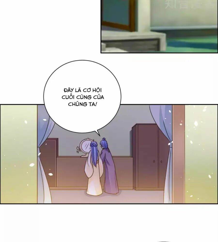 Vương Gia Là Đầu Đại Lão Hổ Chapter 41 - Trang 2