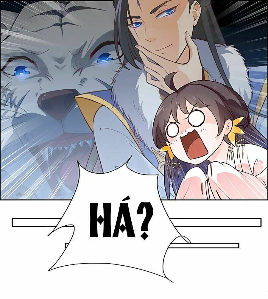 Vương Gia Là Đầu Đại Lão Hổ Chapter 9 - Trang 2