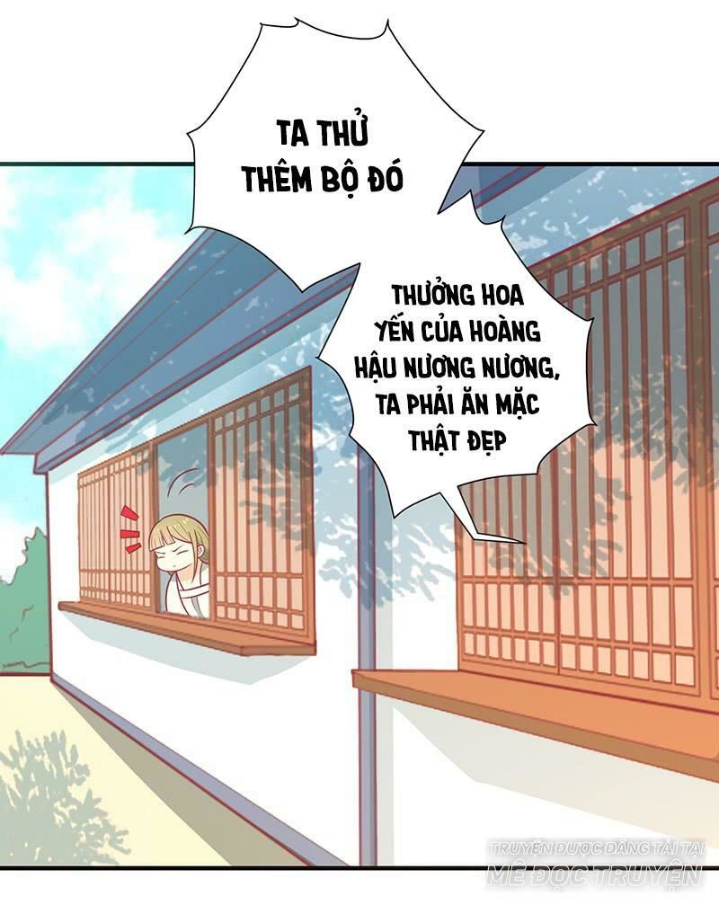 Vương Gia Người Ta Sẽ Giảm Béo Mà!!! Chapter 37 - Trang 2