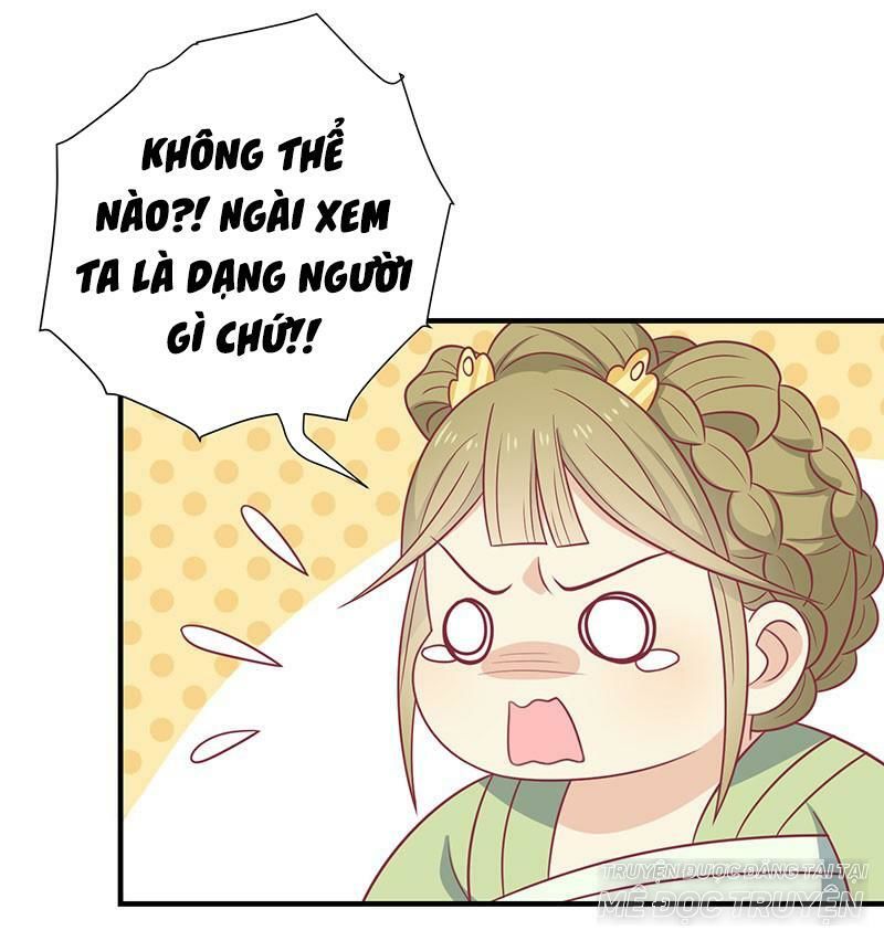 Vương Gia Người Ta Sẽ Giảm Béo Mà!!! Chapter 40 - Trang 2