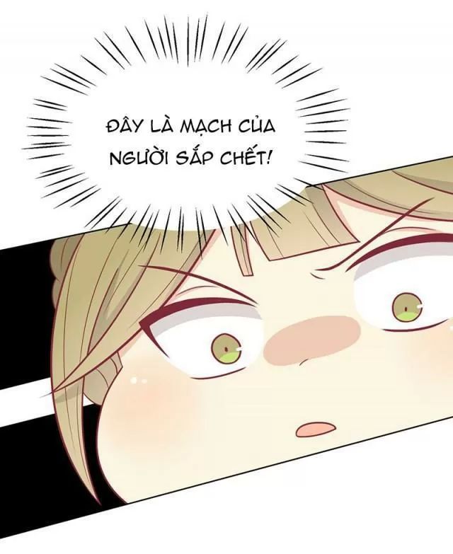 Vương Gia Người Ta Sẽ Giảm Béo Mà!!! Chapter 41 - Trang 2