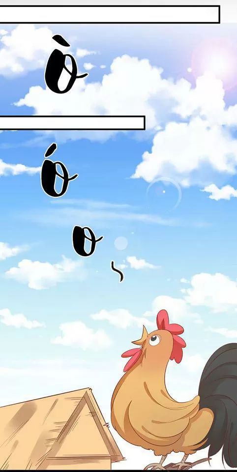 Vương Gia Người Ta Sẽ Giảm Béo Mà!!! Chapter 54 - Trang 2