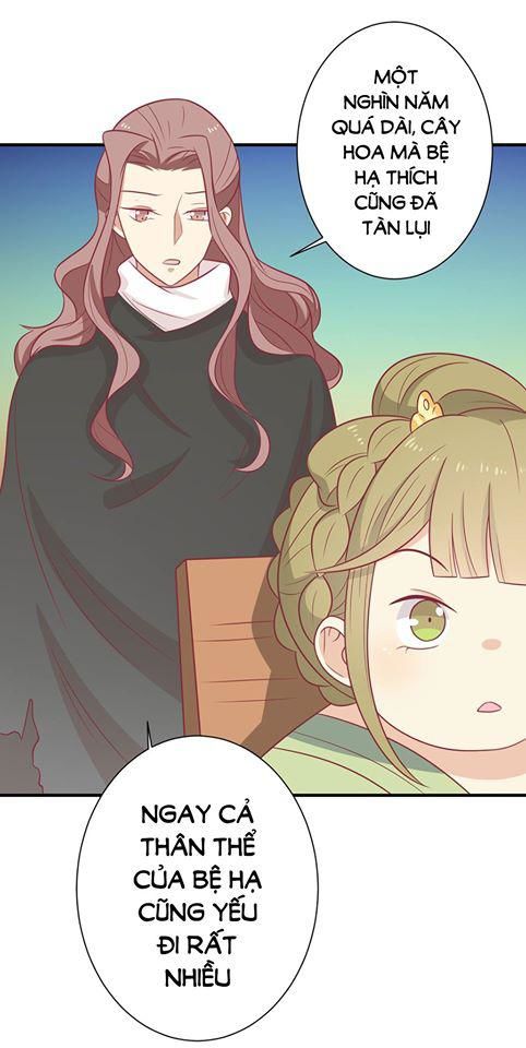 Vương Gia Người Ta Sẽ Giảm Béo Mà!!! Chapter 69 - Trang 2