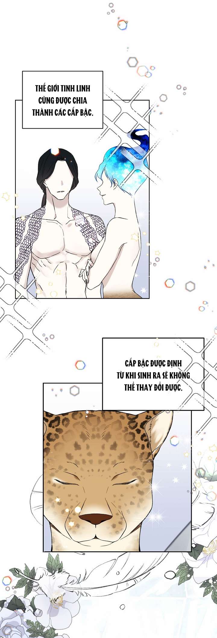 Vương Miện Lục Bảo Chapter 17 - Trang 2