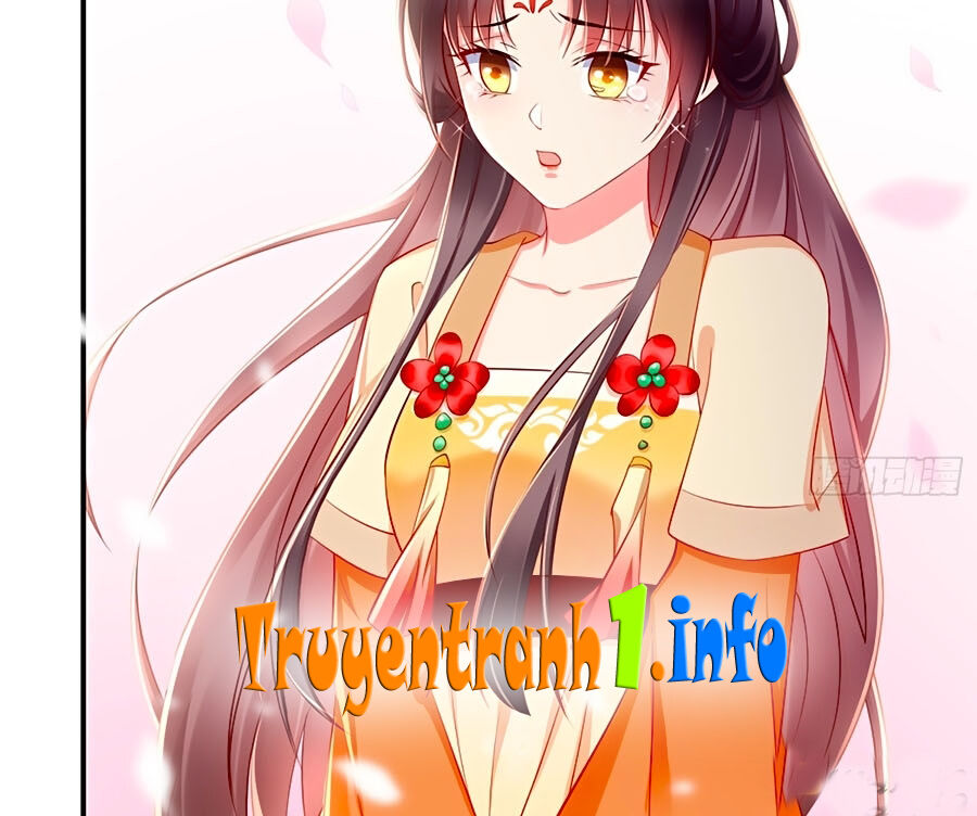 Vương Phi Là Đoá Bạch Liên Hoa Chapter 2 - Trang 2