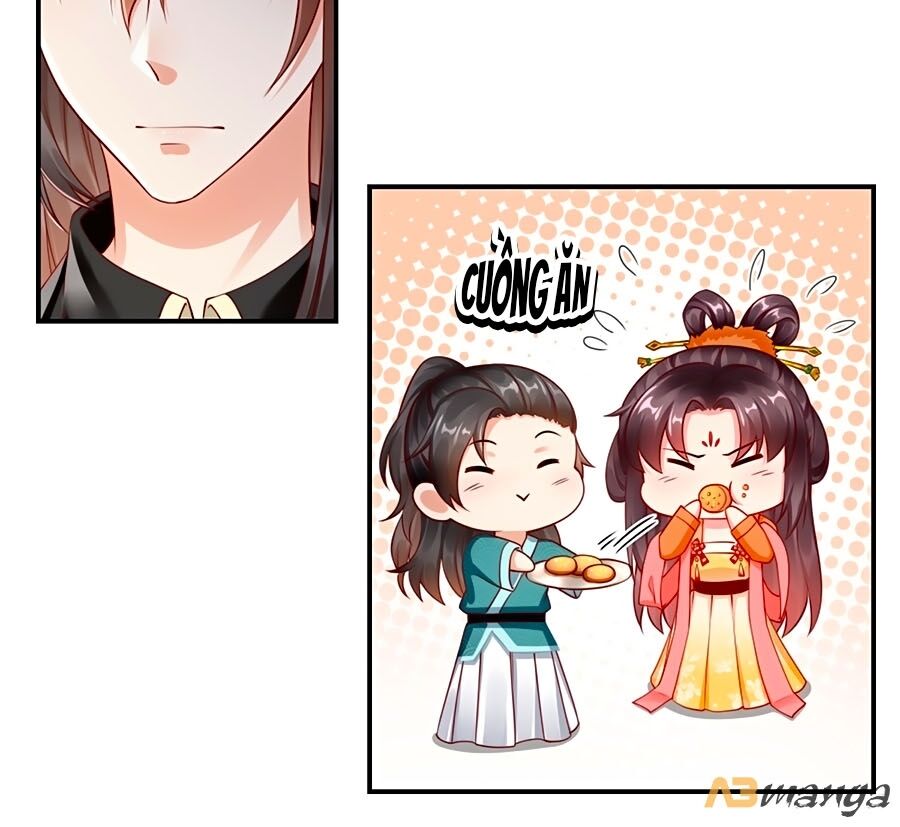 Vương Phi Là Đoá Bạch Liên Hoa Chapter 3 - Trang 2