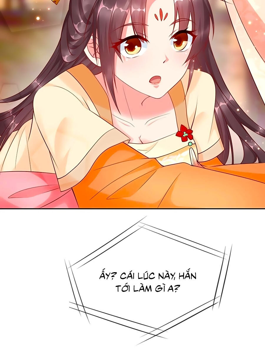 Vương Phi Là Đoá Bạch Liên Hoa Chapter 4 - Trang 2