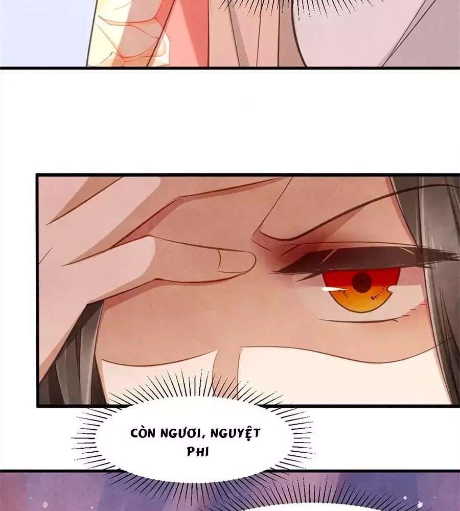 Vương Phi Muốn Trèo Tường Chapter 36 - Trang 2