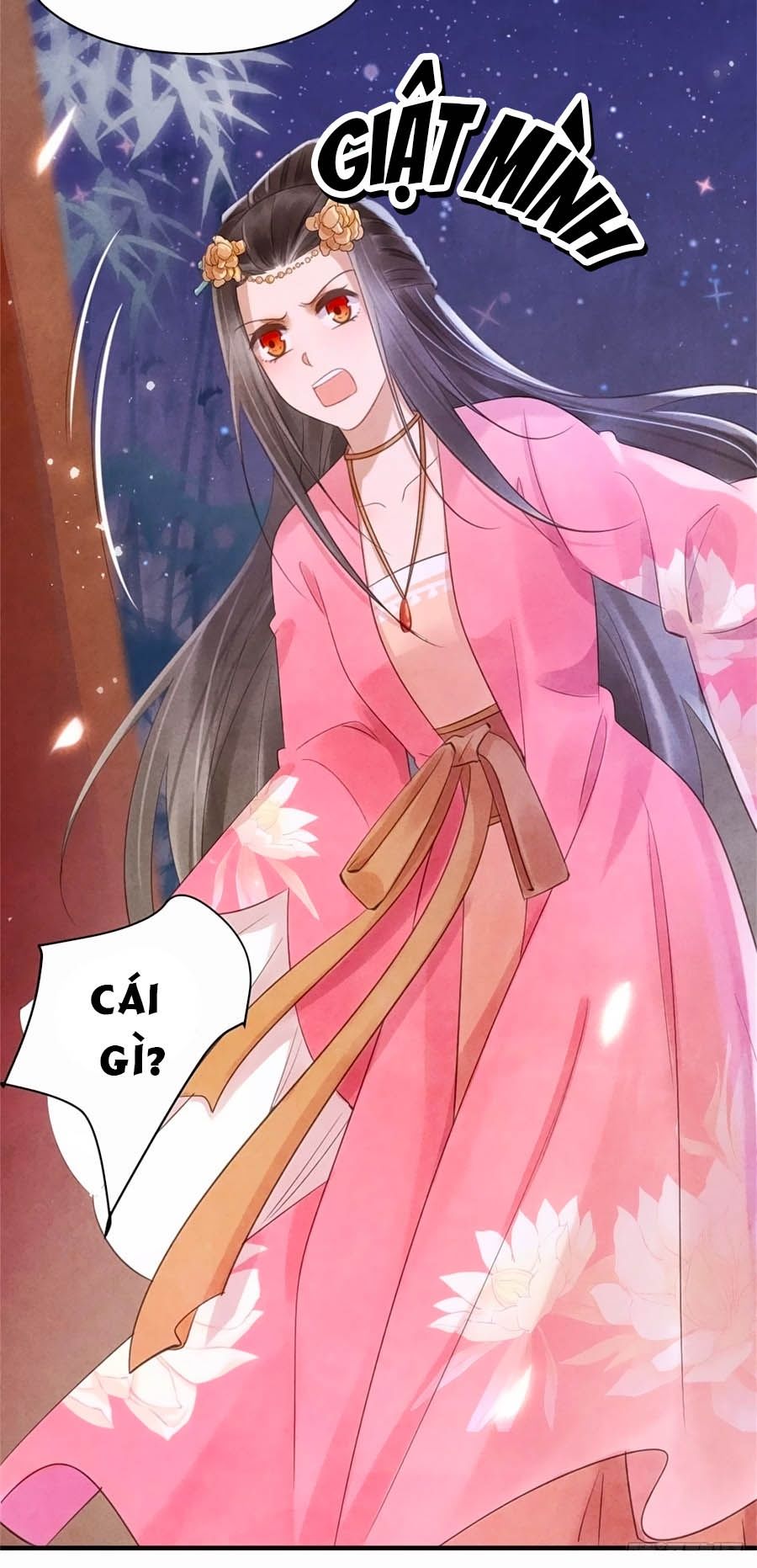 Vương Phi Muốn Trèo Tường Chapter 37 - Trang 2