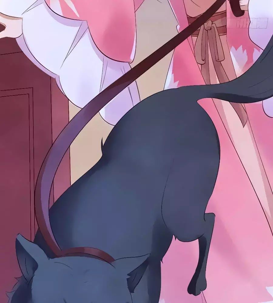 Vương Phi Muốn Trèo Tường Chapter 38 - Trang 2