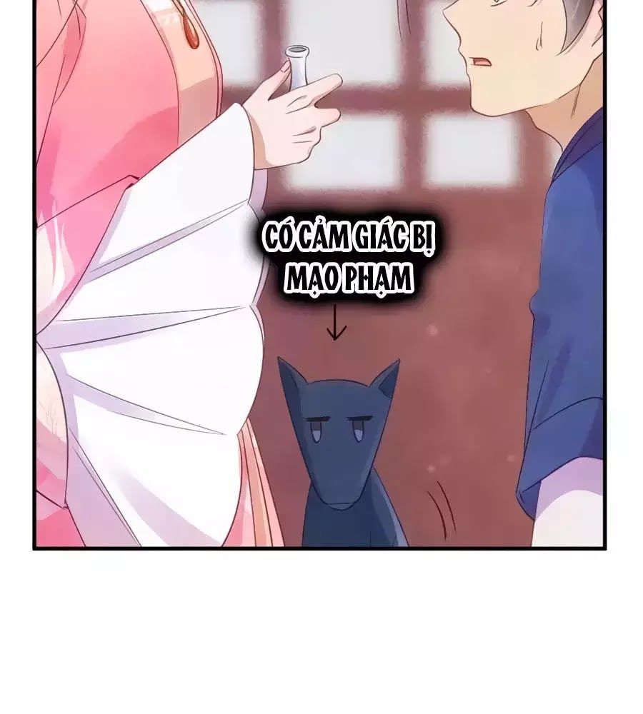 Vương Phi Muốn Trèo Tường Chapter 38 - Trang 2