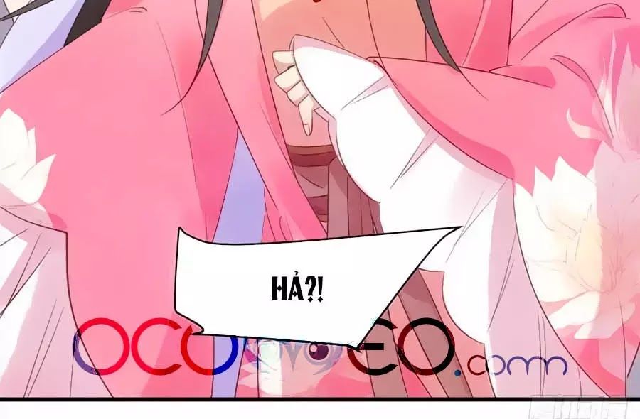 Vương Phi Muốn Trèo Tường Chapter 38 - Trang 2