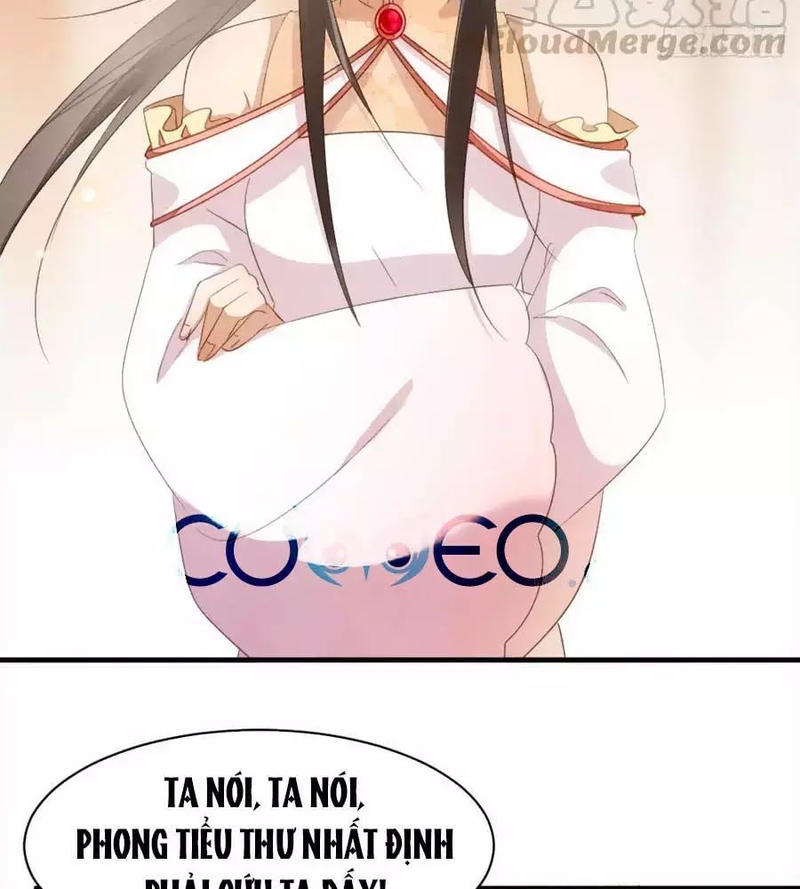 Vương Phi Muốn Trèo Tường Chapter 41 - Trang 2