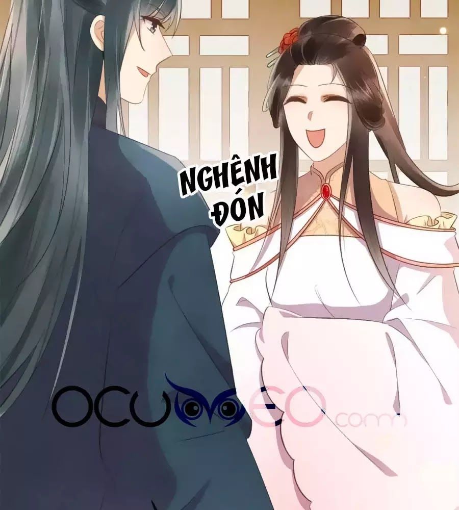 Vương Phi Muốn Trèo Tường Chapter 41 - Trang 2