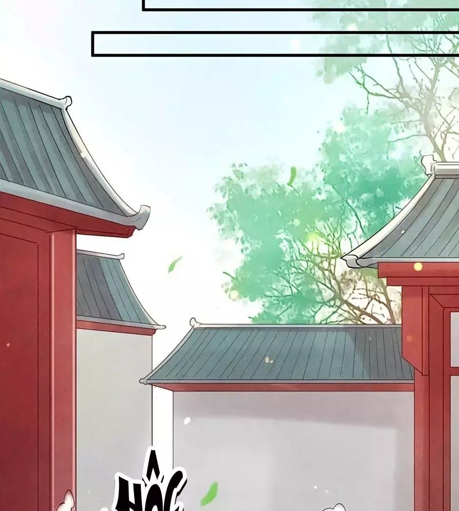 Vương Phi Muốn Trèo Tường Chapter 47 - Trang 2