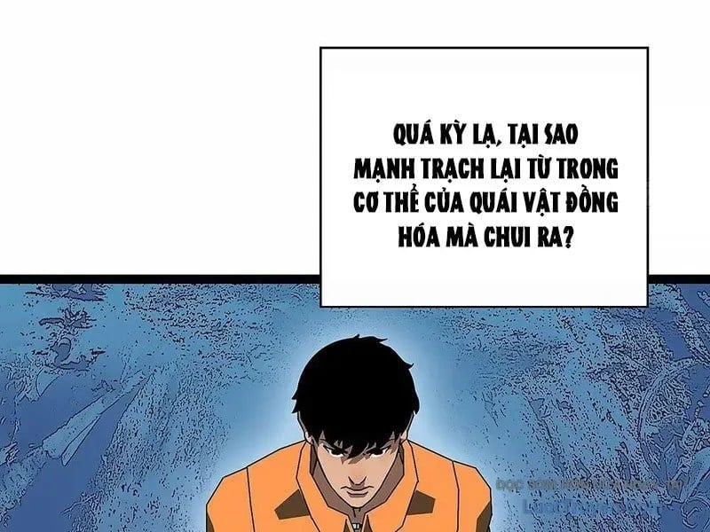 Vương Tạc Chapter 23 - Trang 2