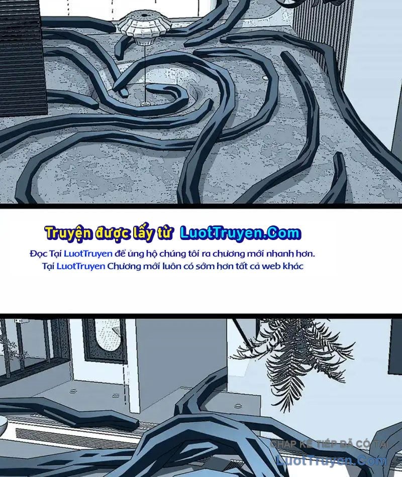 Vương Tạc Chapter 31 - Trang 2