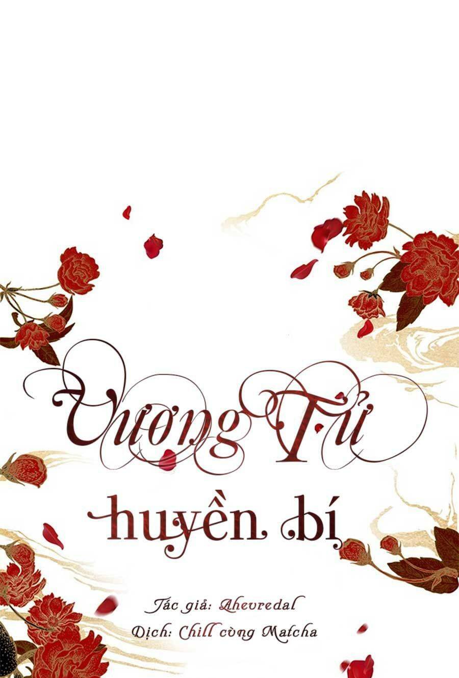 Vương Tử Huyền Bí Chapter 17 - Trang 2