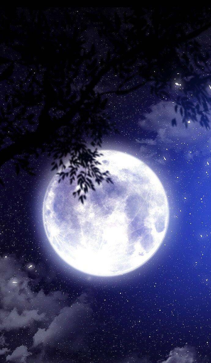 Vương Tử Huyền Bí Chapter 39 - Trang 2