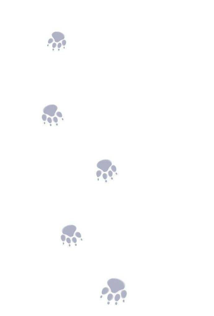 Vương Tử Huyền Bí Chapter 42 - Trang 2