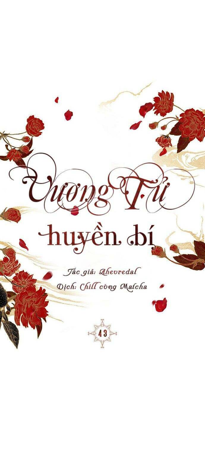 Vương Tử Huyền Bí Chapter 43 - Trang 2
