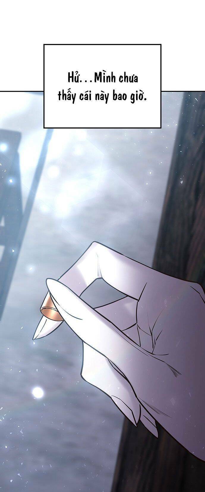 Vương Tử Huyền Bí Chapter 45 - Trang 2