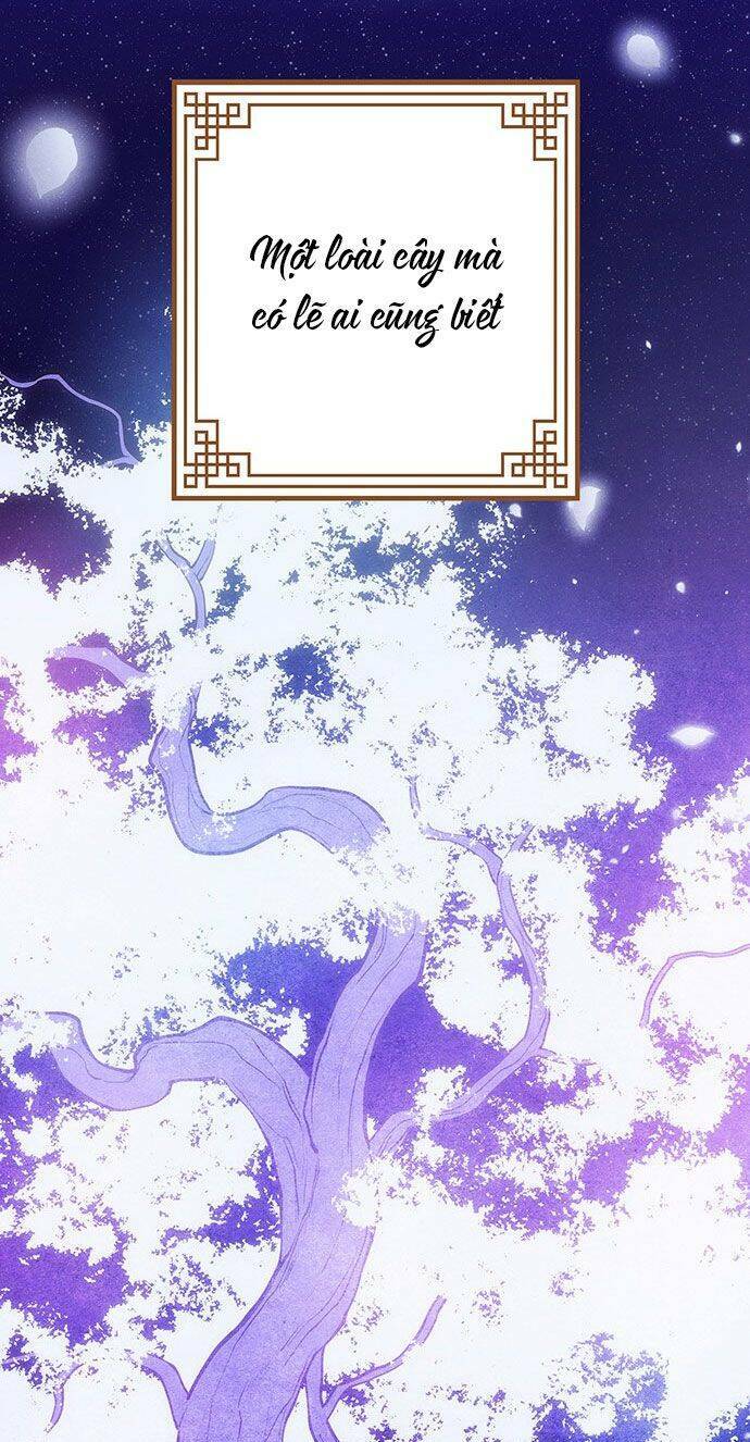 Vương Tử Huyền Bí Chapter 45 - Trang 2